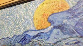 Van Gogh / Trieste, Museo Revoltella. The most beautiful paintings seen up close
