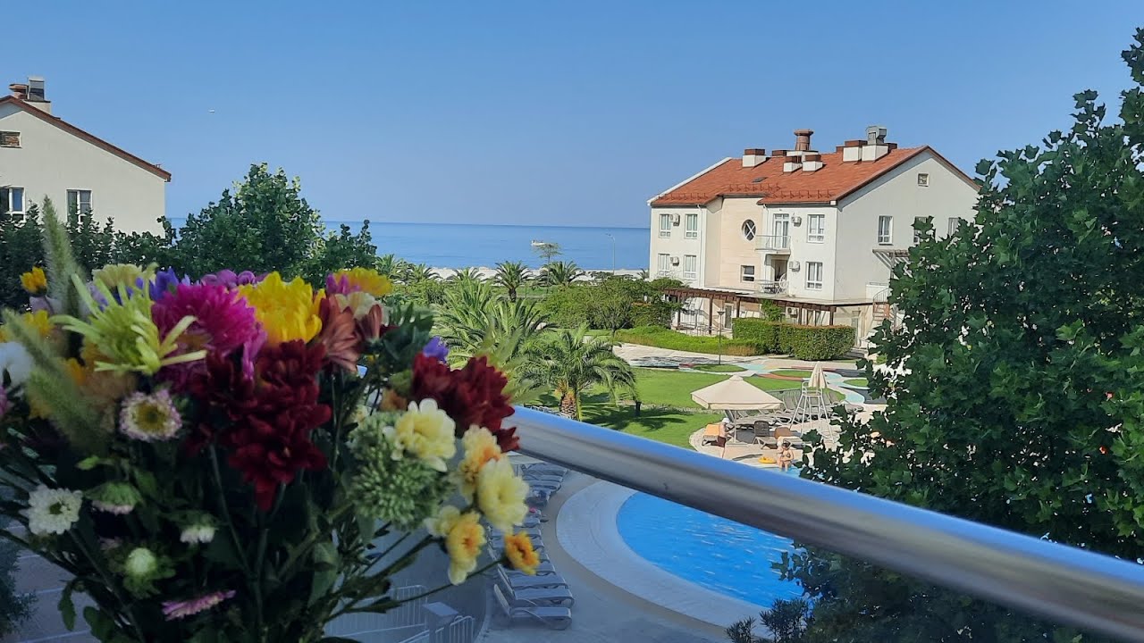 Утро и цветы! Отель Альфа Сириус (бывш. Имеретинский), Морской квартал. Сентябрь 2024 г.