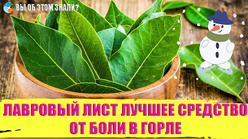 Лавровый лист — лучшее средство от боли в горле