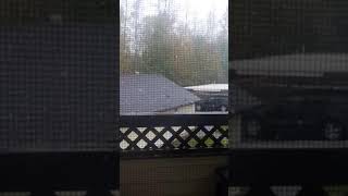GUYS ITS SNOWING IN ENUMCLAW WASHINGTON😱🎄🎋🎋⛄☃️