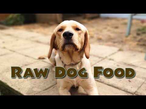 raw-dog-food-uk
