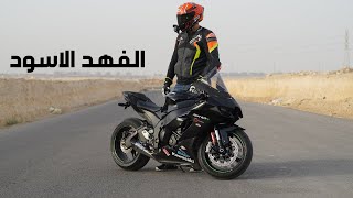 kawasaki zx10r 2021 -  🚀🚀الفهد الاسود