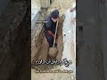 ترسم روژی بمرم مردنم بی دنگ بو