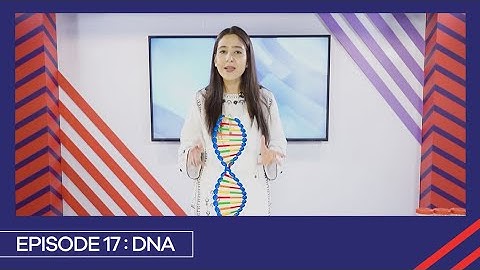 Learn with PGC | Smart Learning EP 17 | DNA