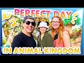 The perfect day in disneys animal kingdom