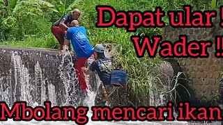 Catching the tastiest river fish, wader fish!! Found a koros snake sleeping in a tree!!