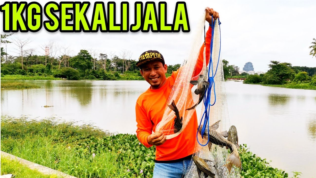 Menjala selepas hujan di padang jawa. 
