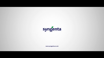 Syngenta’s Smart Network Strategy Grows AgTech Future