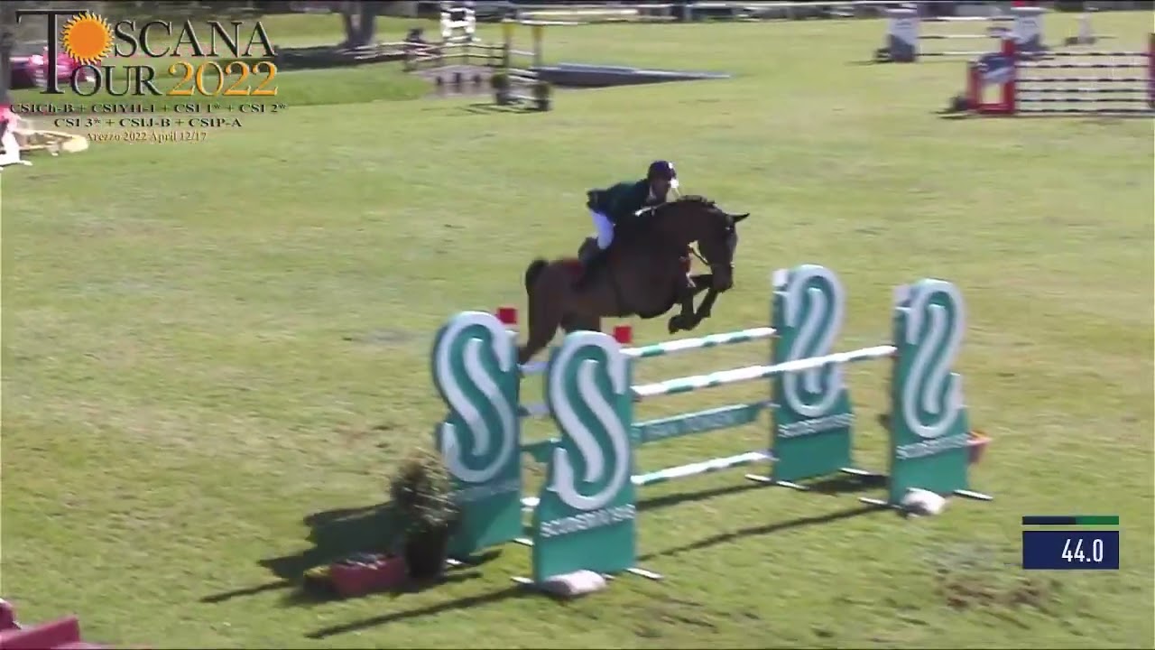 Grand Prix CSI 3* Arezzo / Samy Colman & Davino Q
