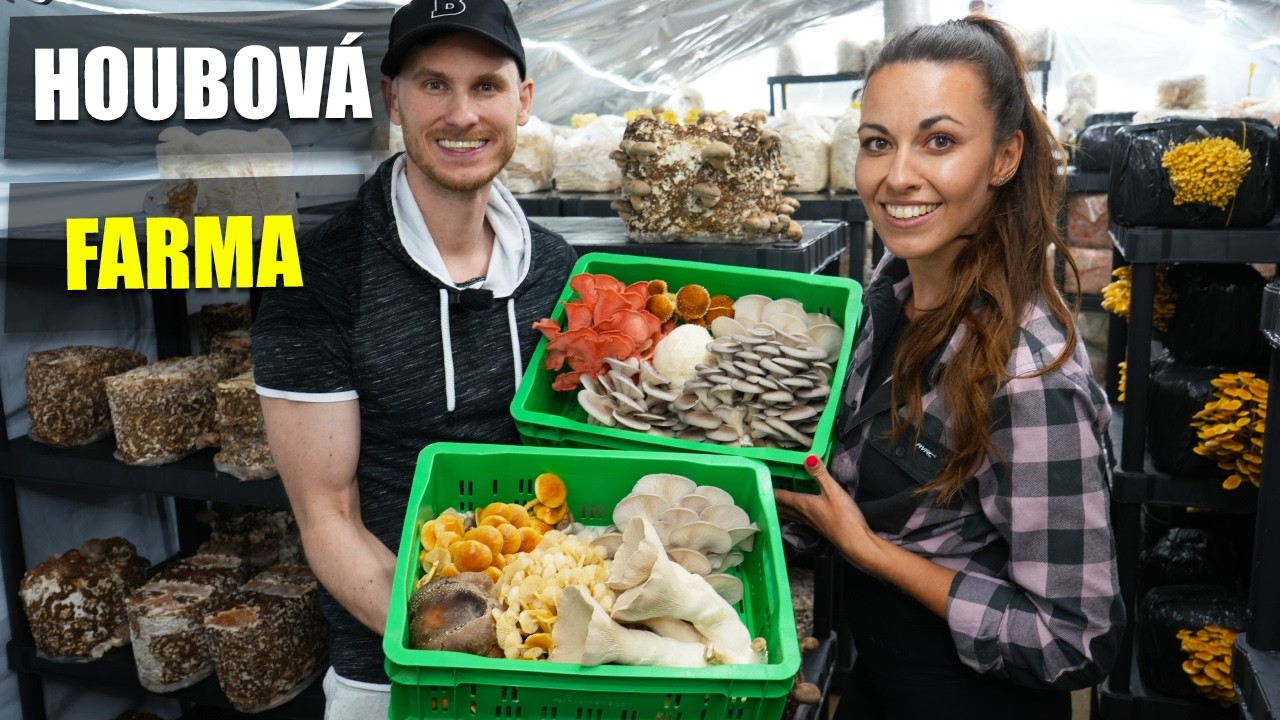 Vyrazila jsem na houby do BRNA! Houbová farma HOUBIO
