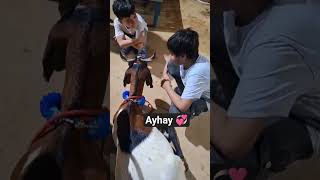ayhay wah ,💕 #shortsviral #pakistan #goat #love #bakra #eidmubarak