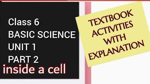 KERALA CLASS 6 BASIC SCIENCE TEXT BOOK ACTIVITIES WITH EXPLANATION/UNIT 1 PART 2/INSIDE A CELL