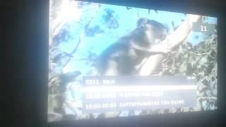 mpeg4 encoder problem