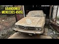 First wash in 20 years abandoned in garage mercedes 450sl  car detailing restoration