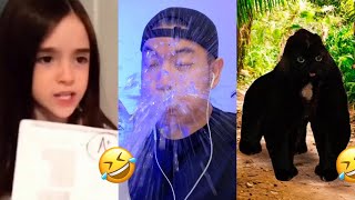 Nonomen funny video😂😂😂 BEST Nonomen Funny Try Not To Laugh Challenge Compilation 🤣