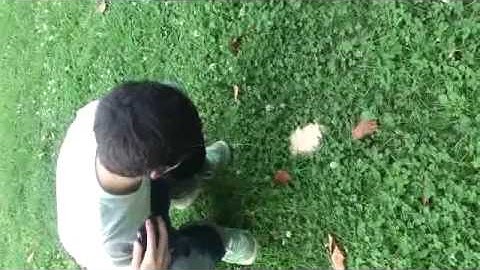 スプライトとバナナを食べてみた