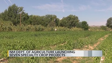 New Mexico Dept. of Agriculture launches seven specialty crop projects