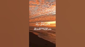 تلاوة خاشعة ومؤثرة للقارئ طارق زياد #راحة_نفسية #حالات_واتس #لايك #ترند #القرآن الكريم
