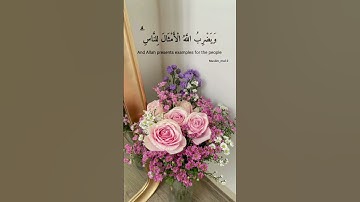 راحة نفسية 🌺🌷#قرآن كريم #اكسبلور #ترند #لايك #الجزائر #فلسطين #ليبيا #