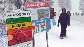 B.C. Avalanche warnings screenshot 3