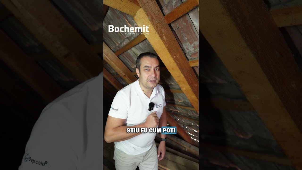 Solutie eliminare insecte lemn atacat - Bochemit Plus I - Scapa de insectele daunatoare lemnului!