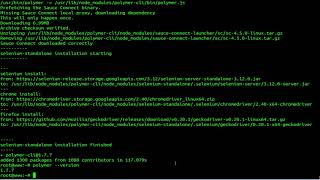 How To install Polymer Polymer-cli With Forever Nginx On Ubuntu 18.04 LTS LTS