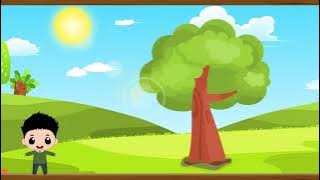 011 课文《那一定会很好》部编版三年级语文上册教学视频 第11课