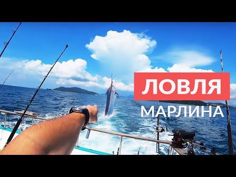 рыболовные снасти на пхукете рыболовные снасти на пхукете