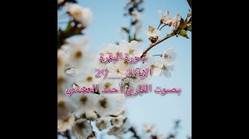 سورة البقرة الايه 21-29 بصوت احمد العجمي