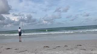 Peaceful Pause: Align with All That Is