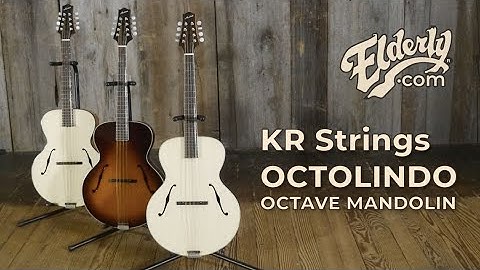 KR Strings Octolindo Octave Mandolins | elderly.com
