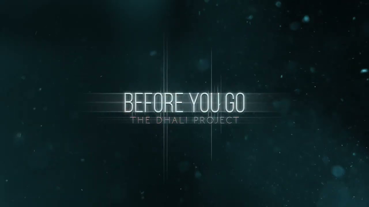 BEFORE YOU GO