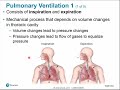 Chapter 21 - Respiratory System Part B
