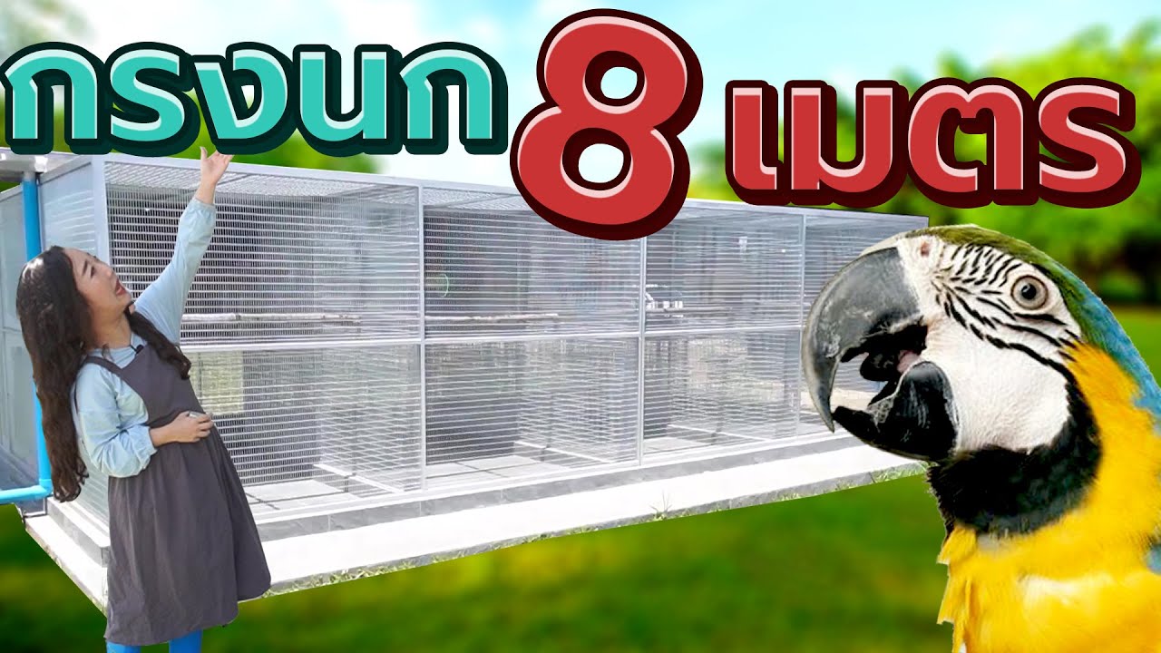 Обзор: 8-метровая клетка для попугаев (экскурсия по вольерам для попугаев), Эпизод 203