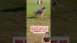 Solo si eres mexicano lo entenderás