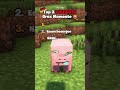 Die besten Grox Momente Teil 67 #minecraft #funny