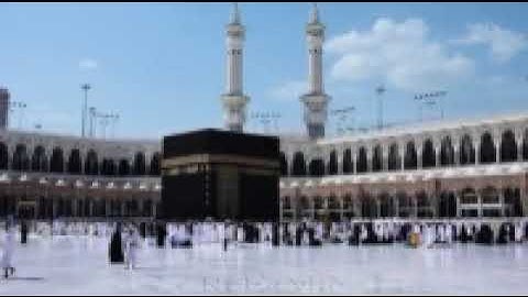 ما تيسر لي من سورة البقرة تلاوة عطرة خاشعة