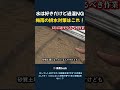 水は好きだけど過湿NG 梅雨の排水対策はこれ!