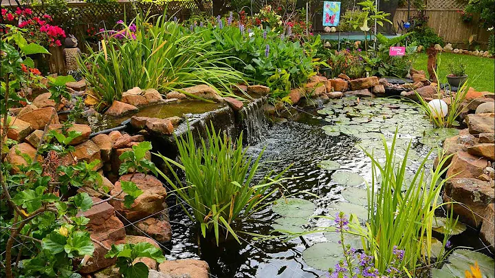Garden Paradise in Cedar Park |Deborah & Robert Je...