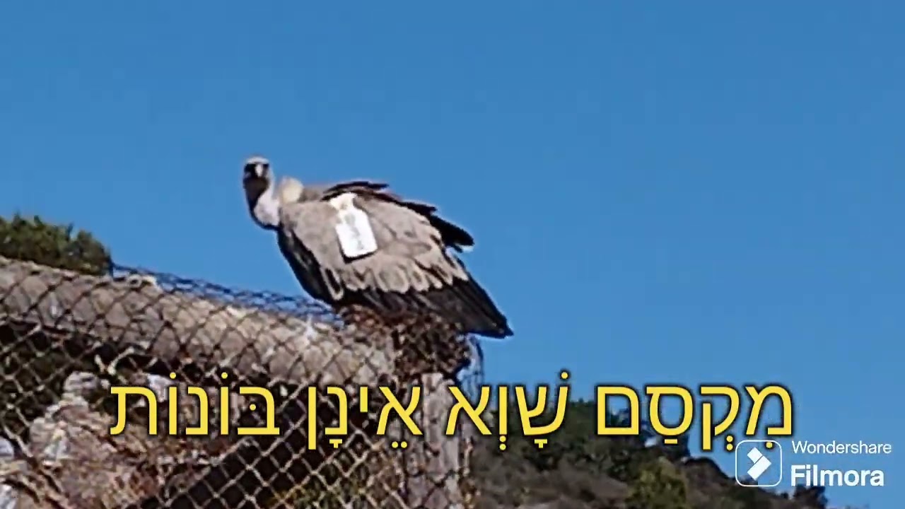 עוֹלָם שֶׁל אַגָּדוֹת מִלִּים:יוֹסִי מֵירוֹם לַחַן:aiכָּל הַזְּכוּיוֹת שְׁמוּרוֹת(C)לְיוֹסִי מֵירוֹם