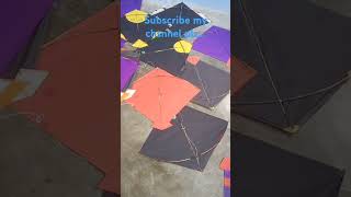 Kite Lover Shortvideo