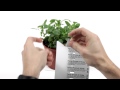 How to printing stickin plant labels