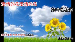 多少柔情多少淚 Duo shao rou qing duo shao lei - karaoke chords