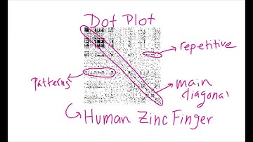 Dot Plots - Visual Representation of Patterns