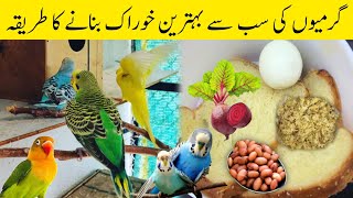 Secret of making EGG FOOD for Birds in Summer season| Eggfood for birds in summers|eggfood for birds