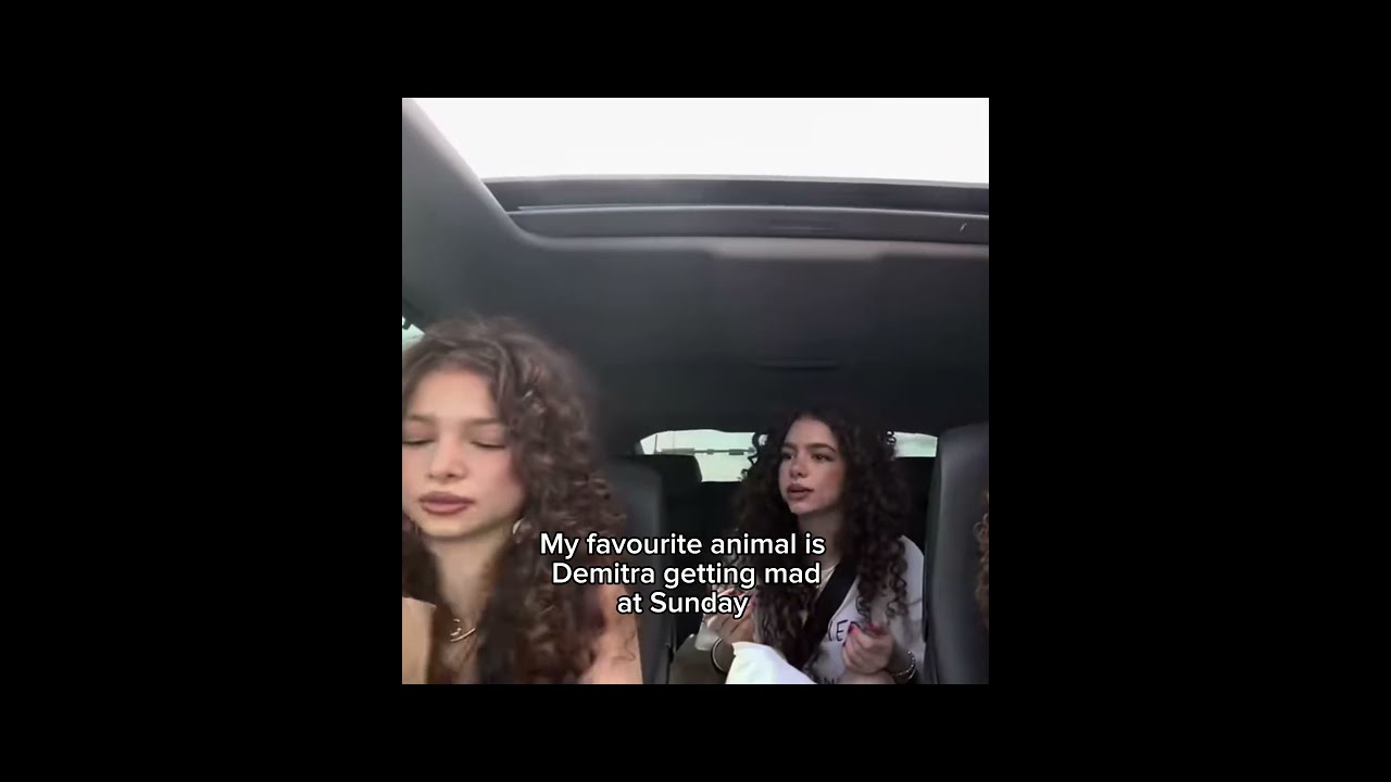 MY FAVOURITE ANIMAL IS DEMITRA GETTING MAD AT SUNDAY Kalogeras Relatable Viral Curlyhair Funny