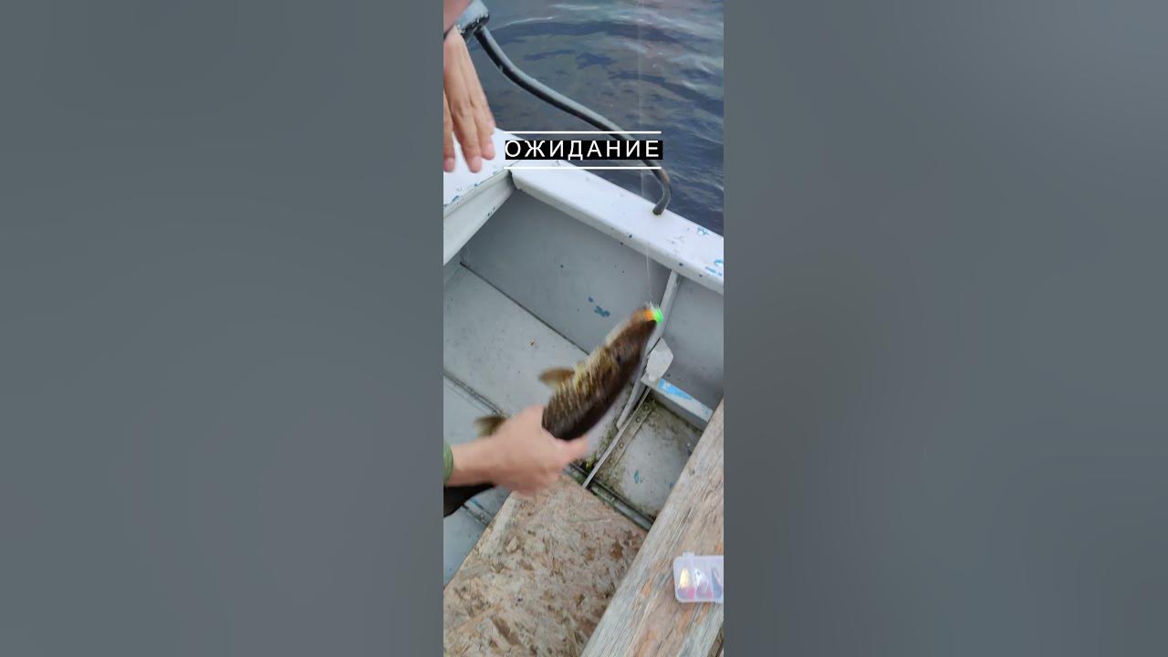 Поездка в Карелию #природа #Карелия #путешествия #рыбалка - YouTube