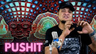 My Thoughts on "Pushit" by TOOL!!! Net Worth