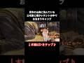 真冬の山奥に住んでいる三毛猫と暖かいテントの中でお泊まりキャンプ【ソロキャンプ】