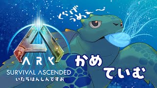 【ASA：PC】せっかくなので新生物ていむ　厳選？
